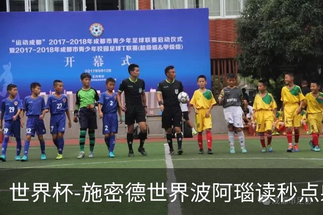 世界杯-施密德世界波阿瑙读秒点射破门 奥地利3-1约旦
