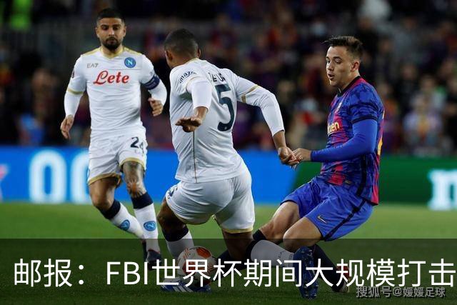 邮报：FBI世界杯期间大规模打击无人机活动，一名非法移民被捕